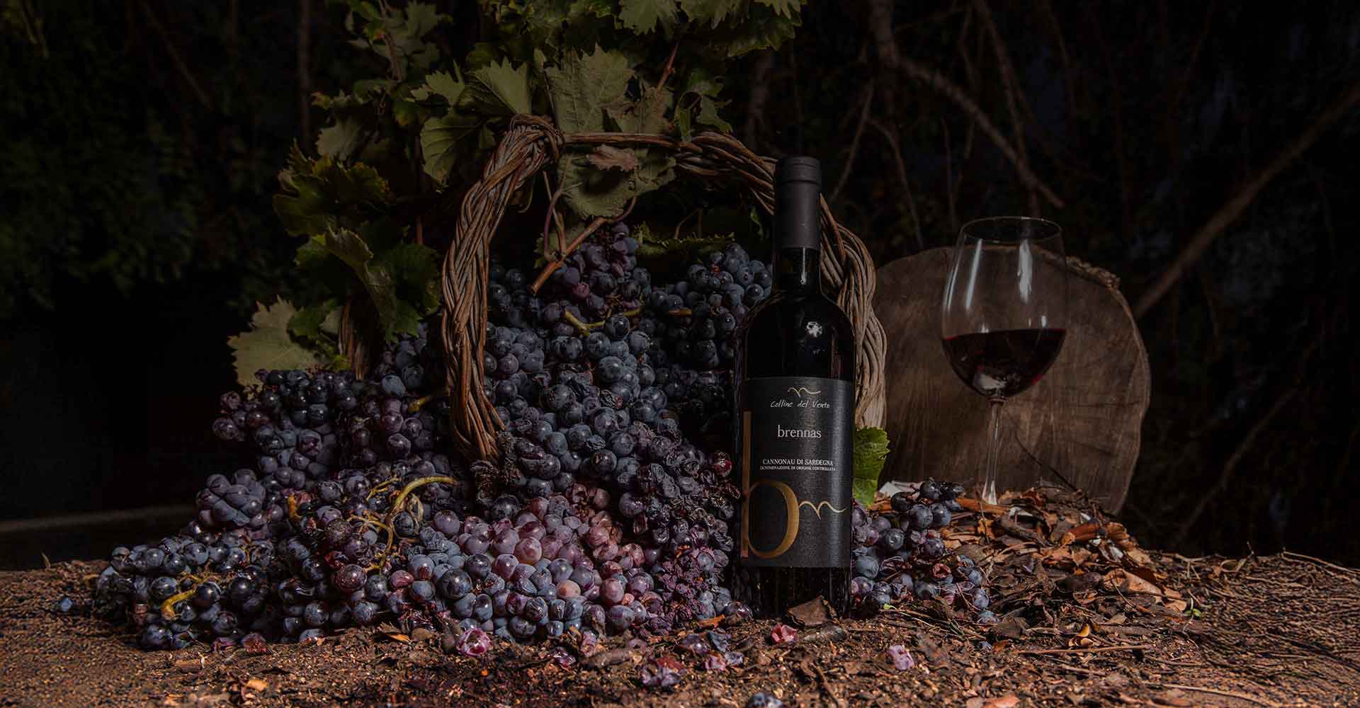 I NOSTRI VINI