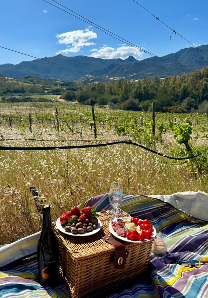 Picnic among the vines in Villasimius