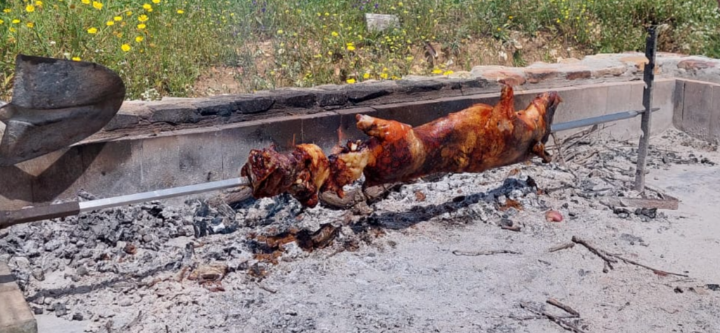 Porceddu, Sardinian suckling pig roasted on the spit